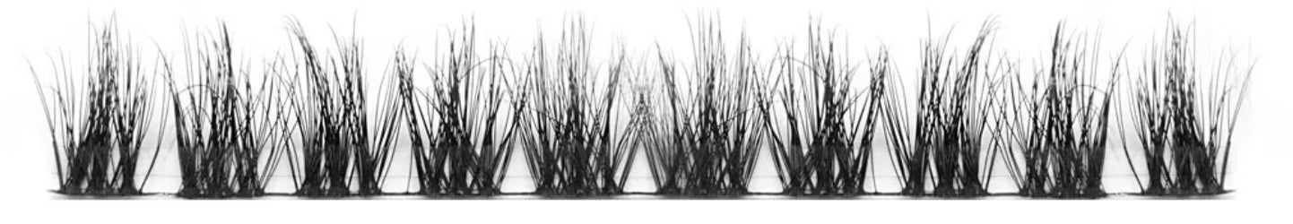 “Spike-cy” Cluster Lash Extensions