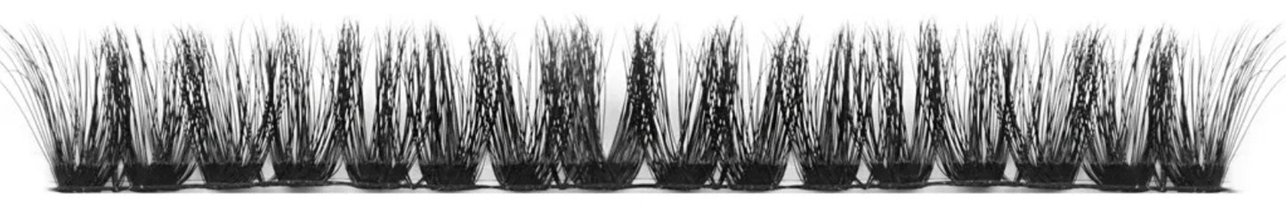 “BBL” Cluster Lash Extensions